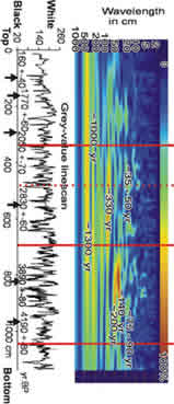Wavelet
